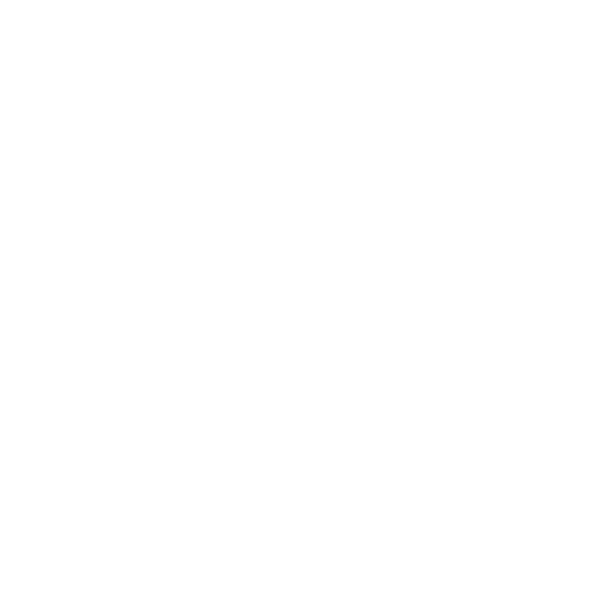 VYTHEN INTERNATIONAL